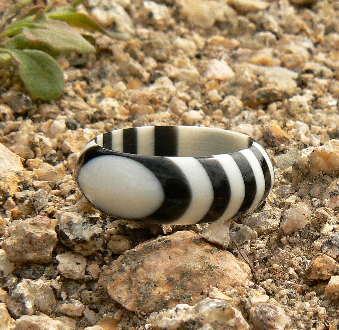 Prstýnek Zebra
